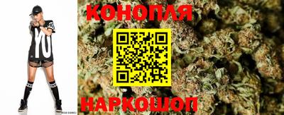 мдпв Ярославль
