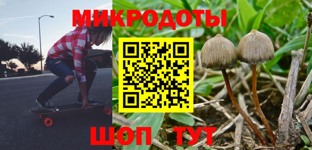 как найти закладки  Вход с VPN  Южноуральск  Галлюциногенные грибы MAGIC MUSHROOMS 